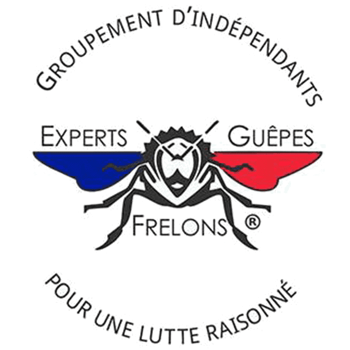 Certification Experts guepes frelons