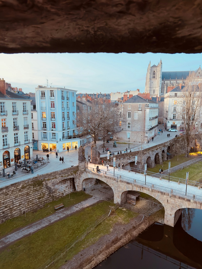 Punaises de lit Nantes - Elimination / Désinsectisation, comment s'en débarrasser ? SOS Nuisible 44